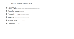 Desktop Screenshot of cgleason.com